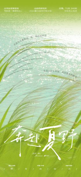 奔赴夏野自然疗愈海报