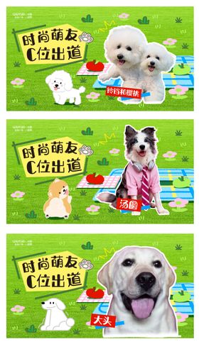 宠物展板 