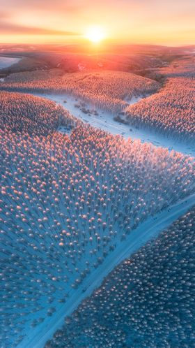 二十四节气大寒