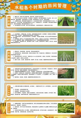 水稻种植管理技术