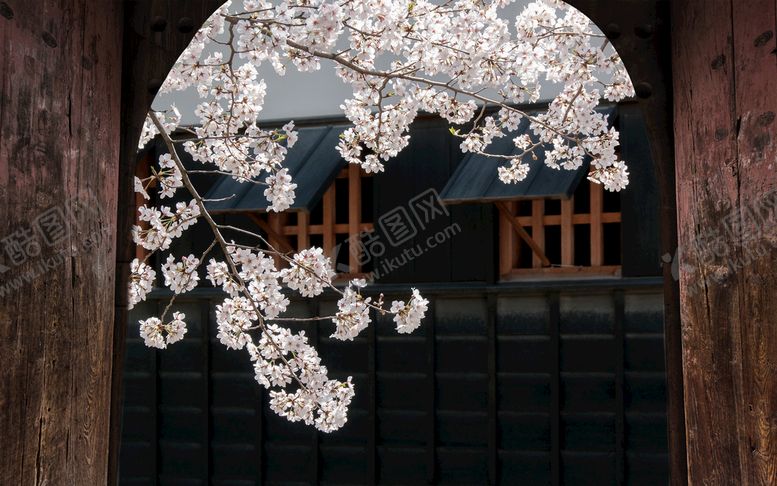 编号：08546109241306193810【酷图网】源文件下载-古典背景