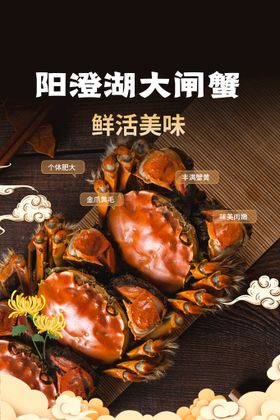 传统美食大闸蟹海报