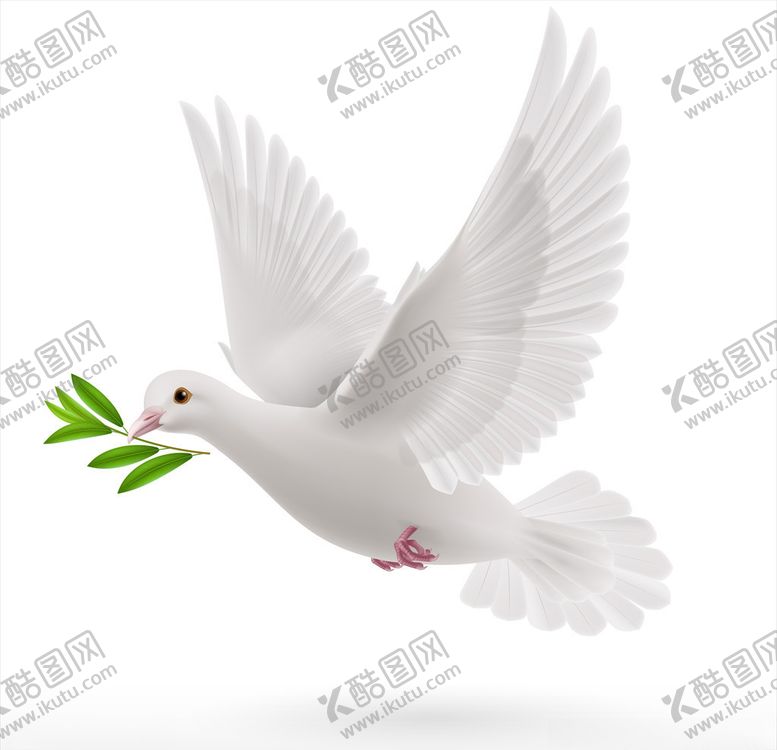 编号：45162610191705428338【酷图网】源文件下载-和平鸽