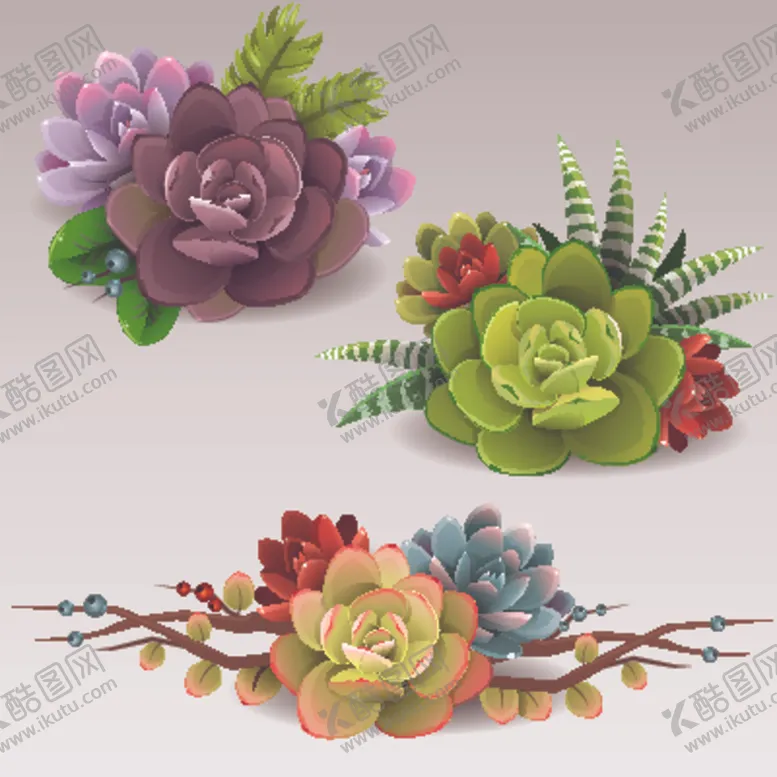 编号：66807306231830172094【酷图网】源文件下载-多肉植物