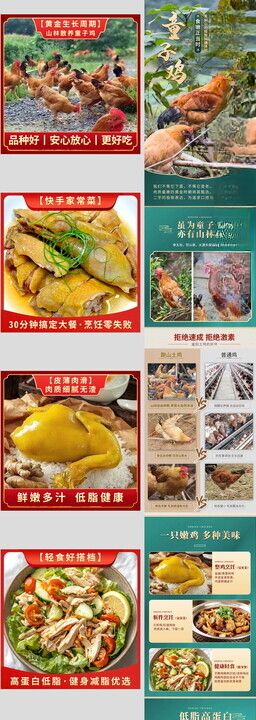 多彩水果包装设计展示