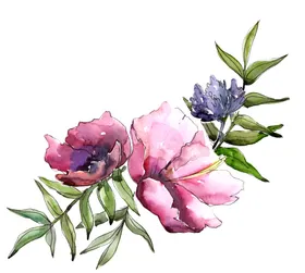 手绘花卉森系小清新语清新植物浪漫温馨