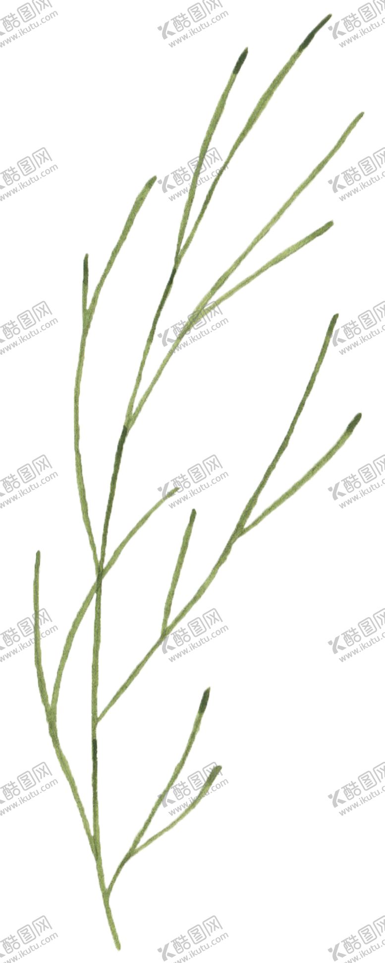 编号：58883005060655023232【酷图网】源文件下载-手绘植物花卉