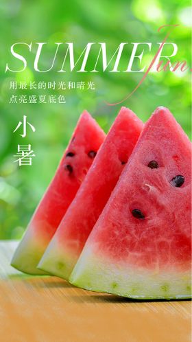 小暑海报盛夏