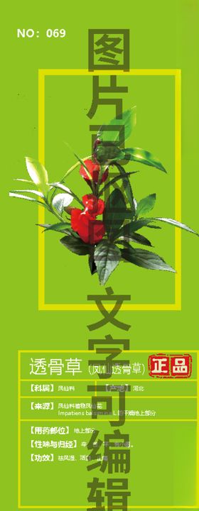 凤仙透骨草