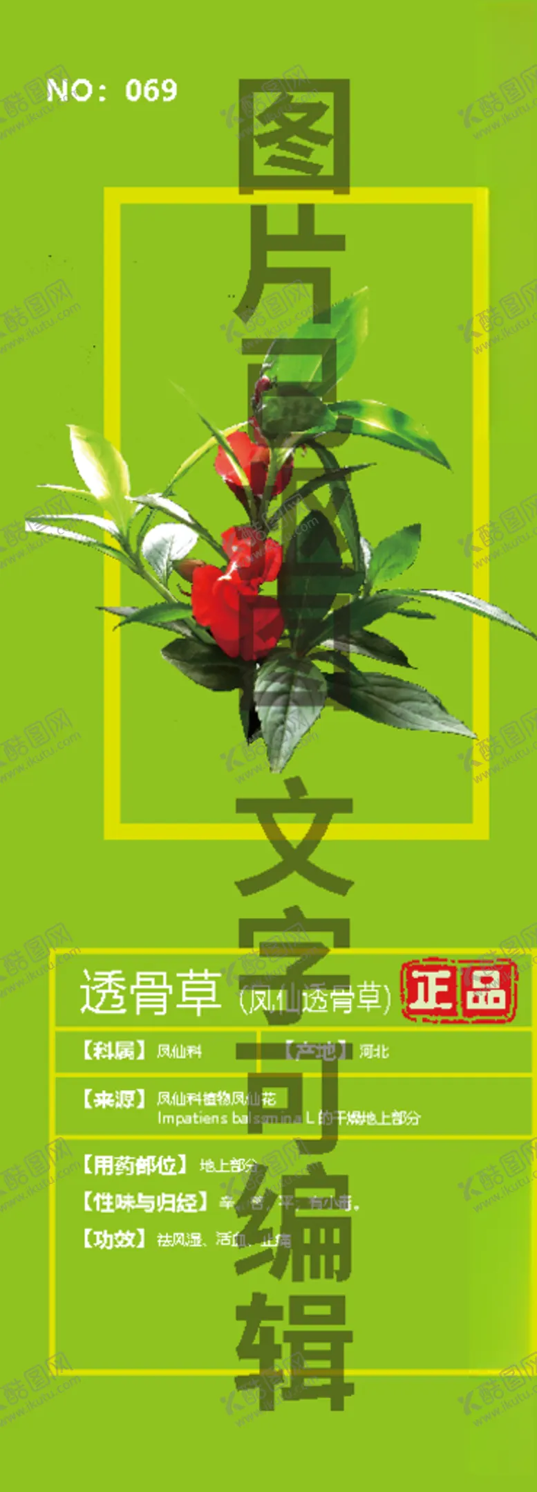 编号：46316405040224201356【酷图网】源文件下载-凤仙透骨草