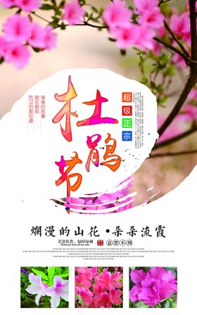 杜鹃花海报