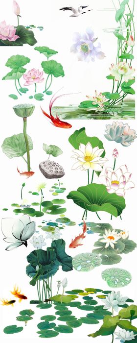 夏日荷塘古风美景插画