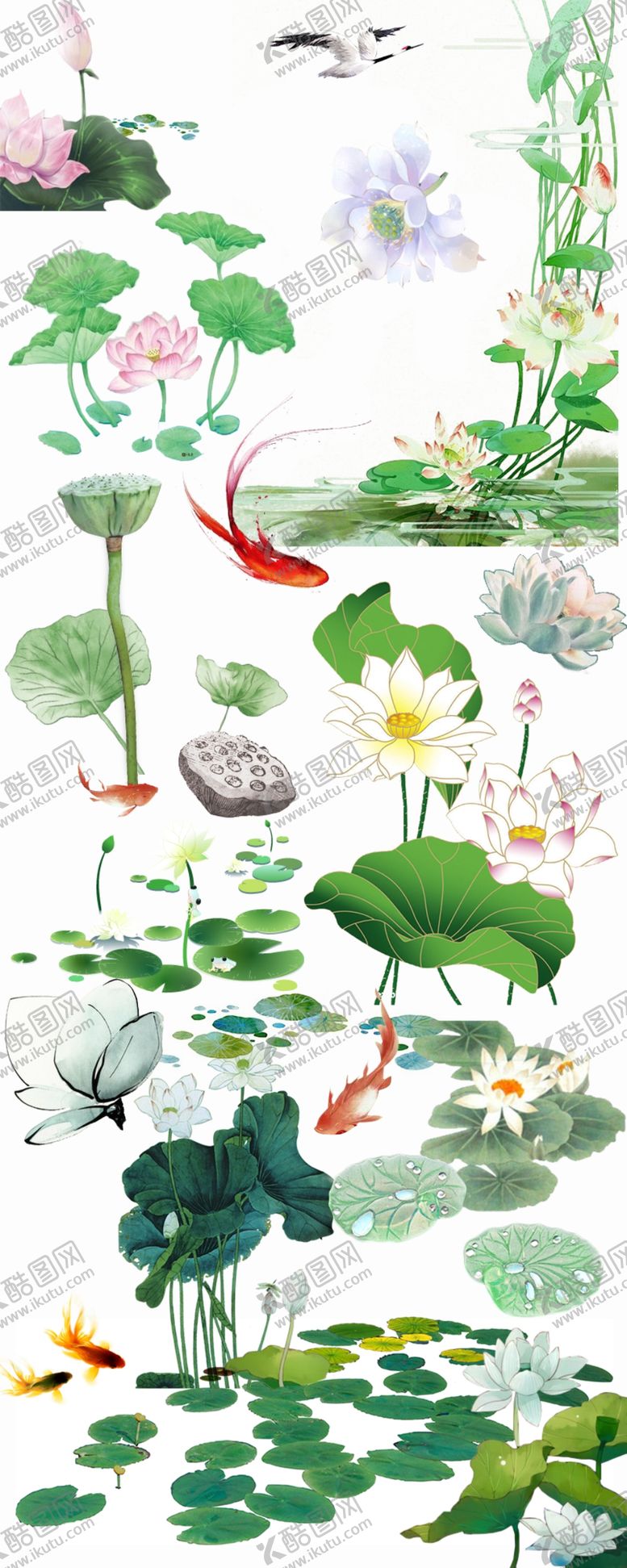 编号：29694504050755524195【酷图网】源文件下载-夏日荷塘插画