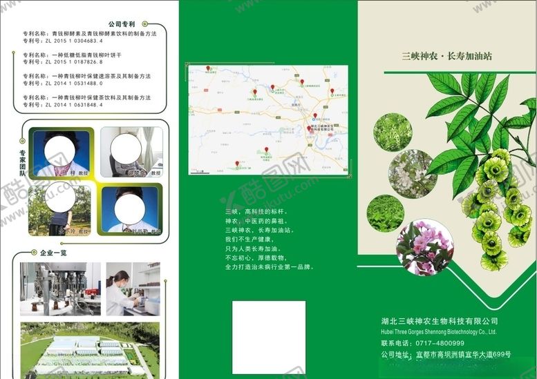 编号：70792004191636599919【酷图网】源文件下载-青钱柳三折页