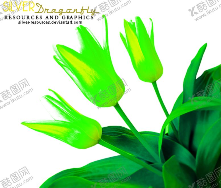 编号：52703410081702357109【酷图网】源文件下载-花素材