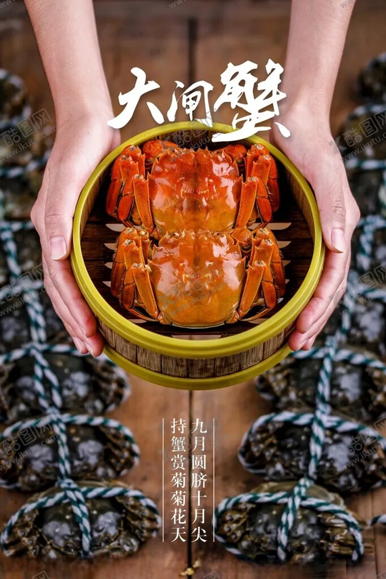 编号：62093102240321201286【酷图网】源文件下载-大闸蟹