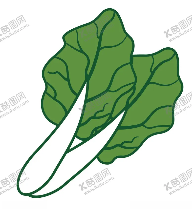 编号：12757102031006076051【酷图网】源文件下载-菜叶矢量图