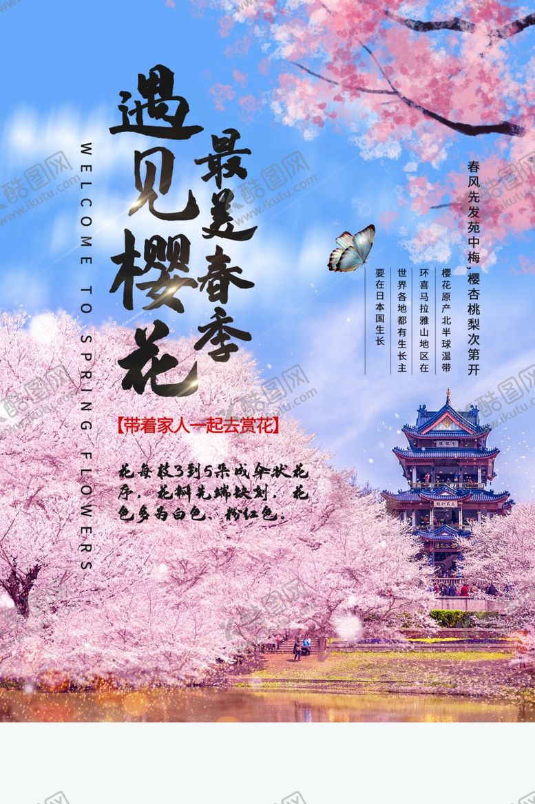 编号：70462810270024425631【酷图网】源文件下载-遇见樱花