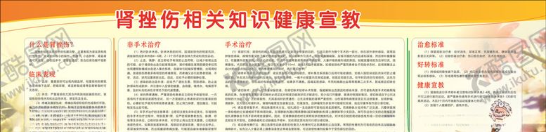 编号：89952710102103552721【酷图网】源文件下载-肾挫伤护理宣传栏