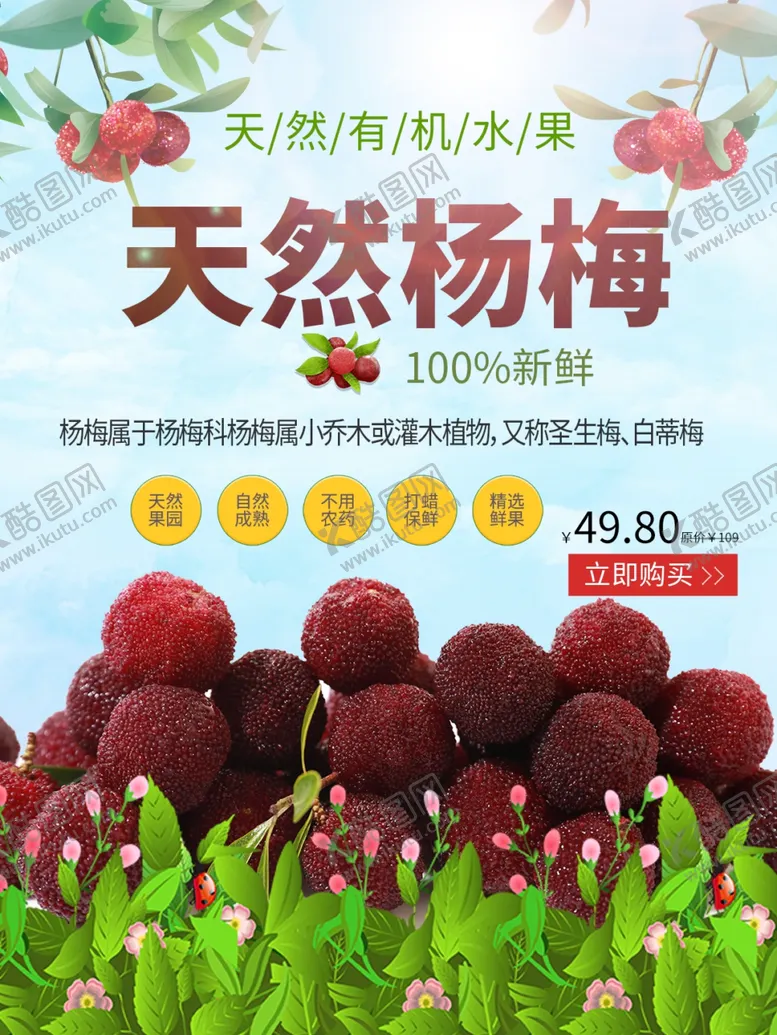 编号：23393612032008067689【酷图网】源文件下载-天然杨梅