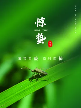 惊蛰转发桃花单页微信