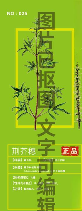 荆芥穗