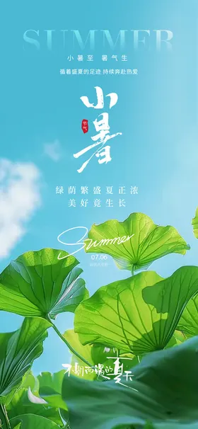小暑荷叶大夏天