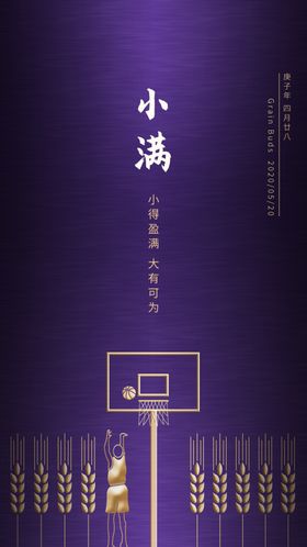 小满节气篮球海报