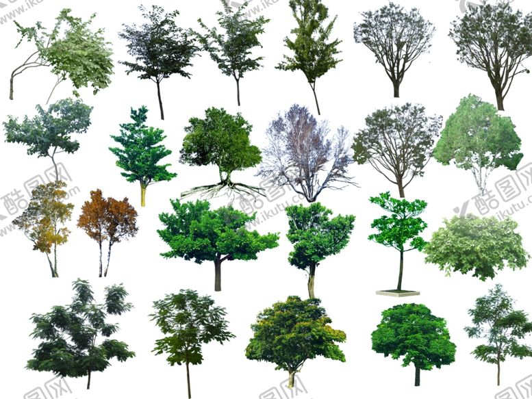 编号：20620010052301269970【酷图网】源文件下载-树木免扣素材