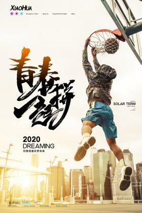 致青春海报