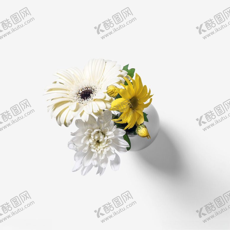 编号：67581002201501078845【酷图网】源文件下载-花瓶中的花朵