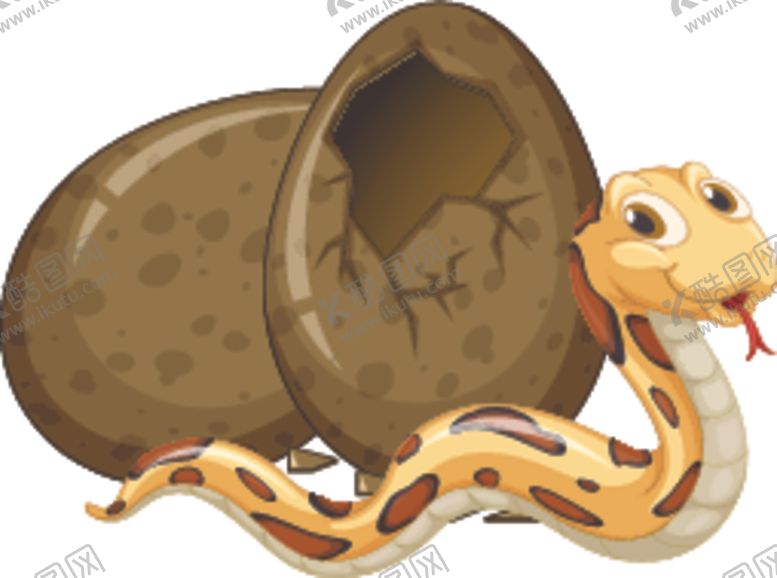 编号：14898607070546211845【酷图网】源文件下载-卡通蛇