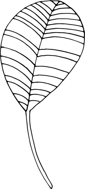 秘密花园环植物上色