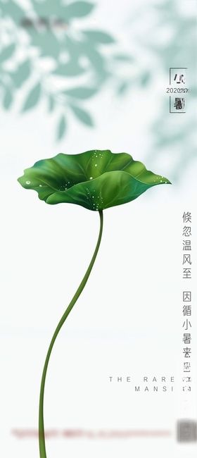 秋分节气微信稿