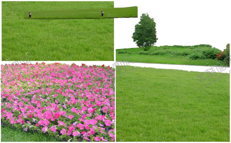 编号：52545709272114003465【酷图网】源文件下载-景观素材