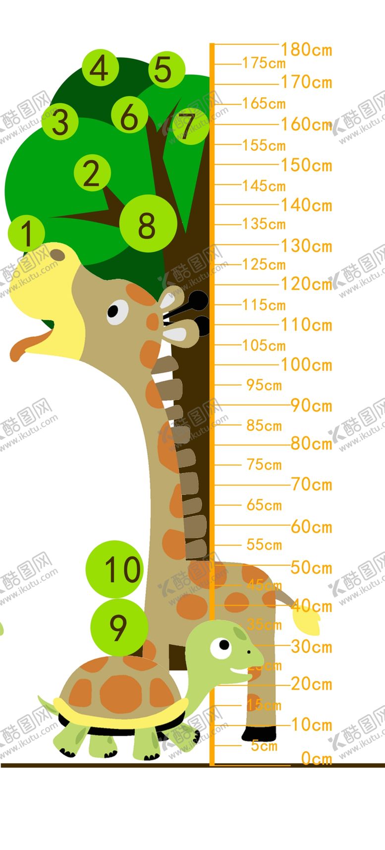 编号：71896810231914543890【酷图网】源文件下载-宝宝标尺