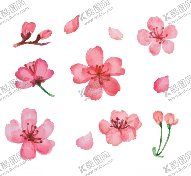 编号：15404009272333342088【酷图网】源文件下载-11款粉色樱花矢量素材