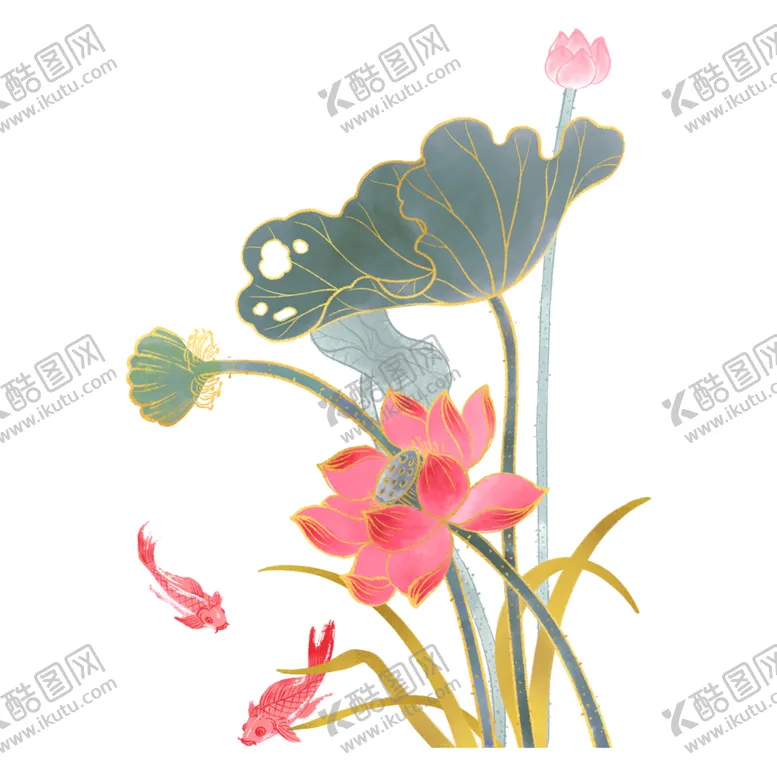 编号：38836112080436036478【酷图网】源文件下载-免扣荷花素材