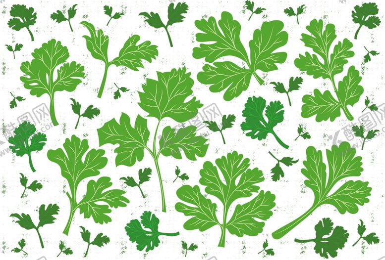 编号：52168210041640336716【酷图网】源文件下载-绿色背景