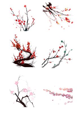 梅花素材