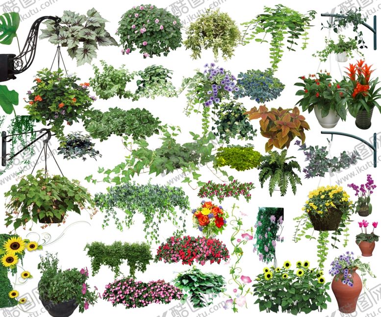 编号：92270709241235305140【酷图网】源文件下载-藤条植物