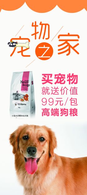 宠物之家