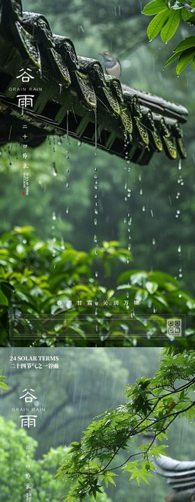 谷雨节气系列海报