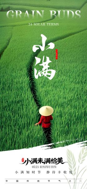 小满节气朋友圈海报