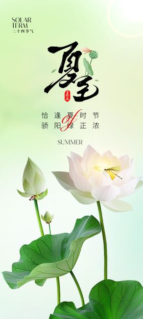 夏至海报二十四节气日荷花