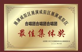 钛金奖牌