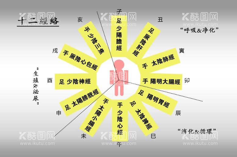 编号：56417412211208503076【酷图网】源文件下载-十二经络图