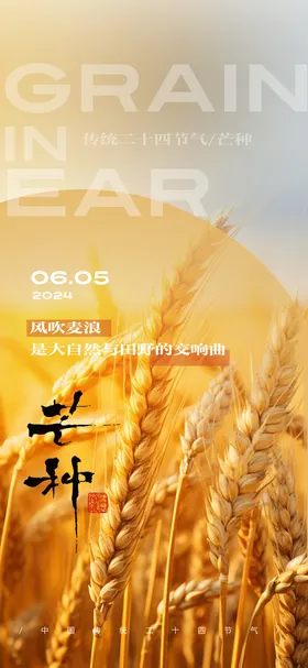 二十四节气海报 芒种海报