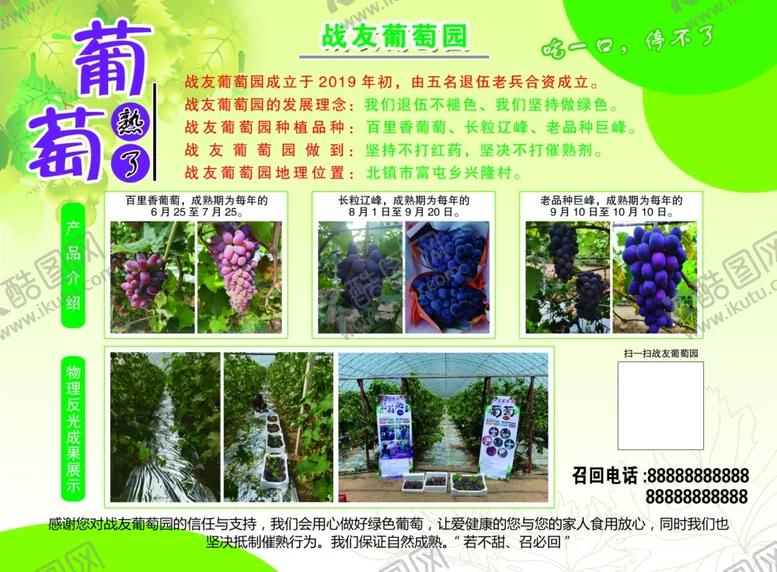 编号：65611402101559415312【酷图网】源文件下载-葡萄传单