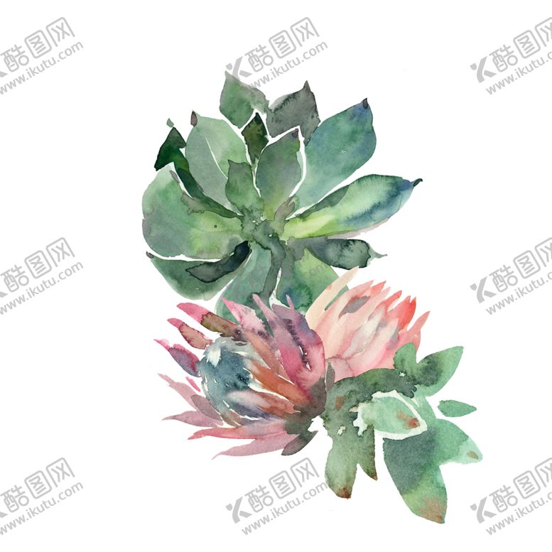 编号：74381701141411218719【酷图网】源文件下载-免扣植物素材图片